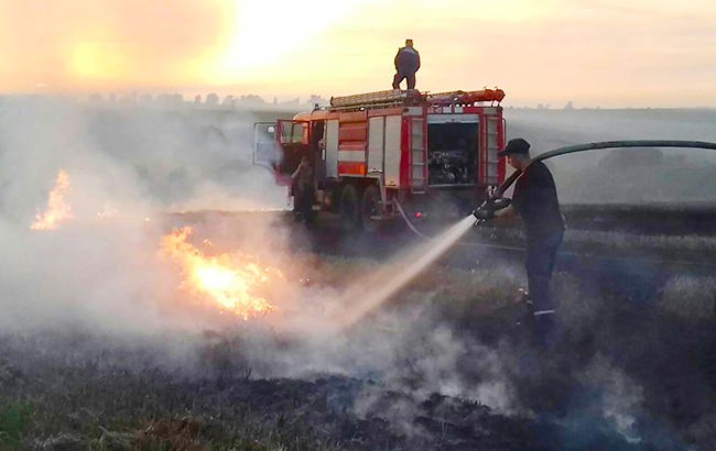 У Львівській області згоріло 20 000 кв. м поля
