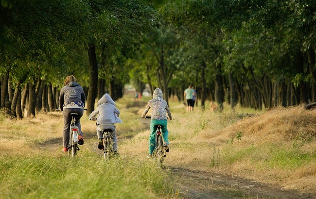 Иллюстративное фото