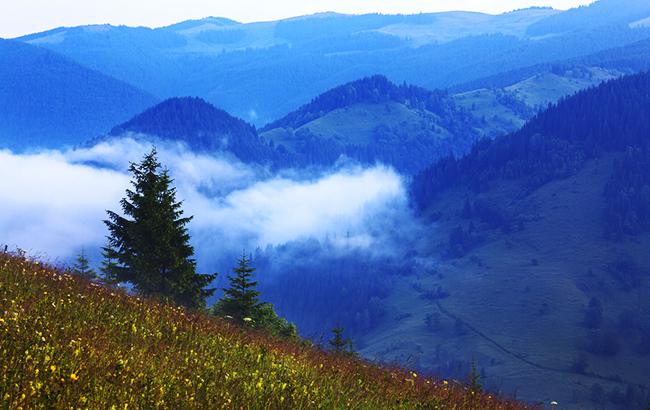 Відпочинок влітку в Україні: ціни та умови на найпопулярніших курортах