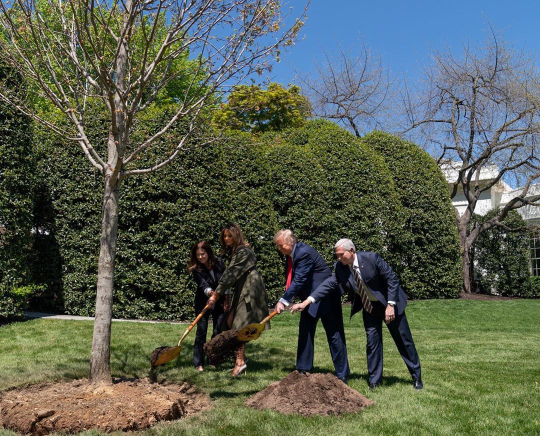 Меланія Трамп в елегантному тренчі і з золотою лопатою замість аксесуарів взялася за висадку дерев біля Білого дому