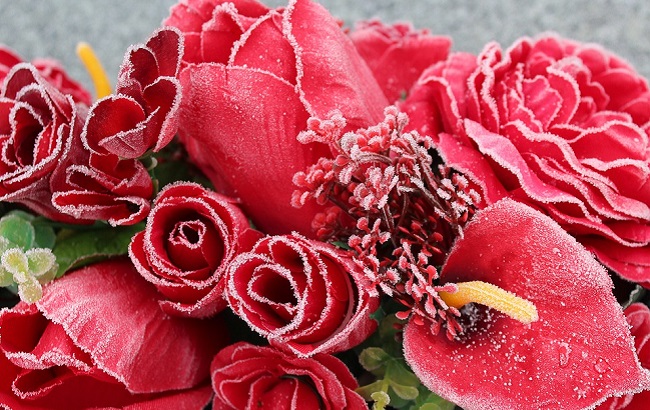 25 января - Татьянин день