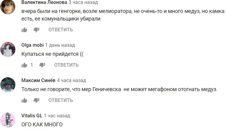 Море превратилось в суп: известный украинский курорт атаковали медузы
