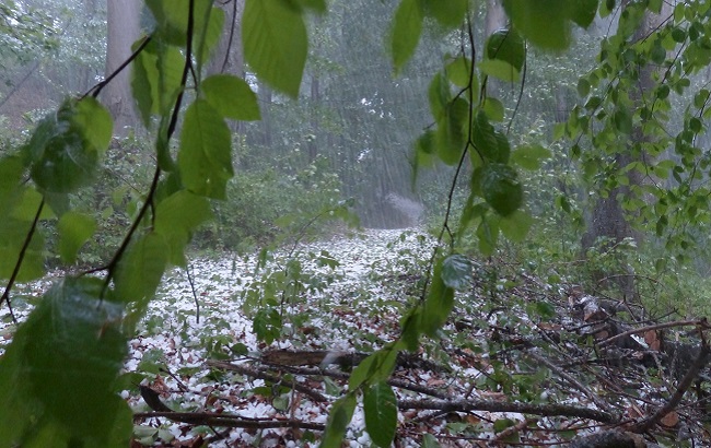 Настоящая стихия: синоптики дали устрашающий прогноз погоды