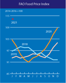 Мировые цены на продовольствие выросли до максимума с 2014 года