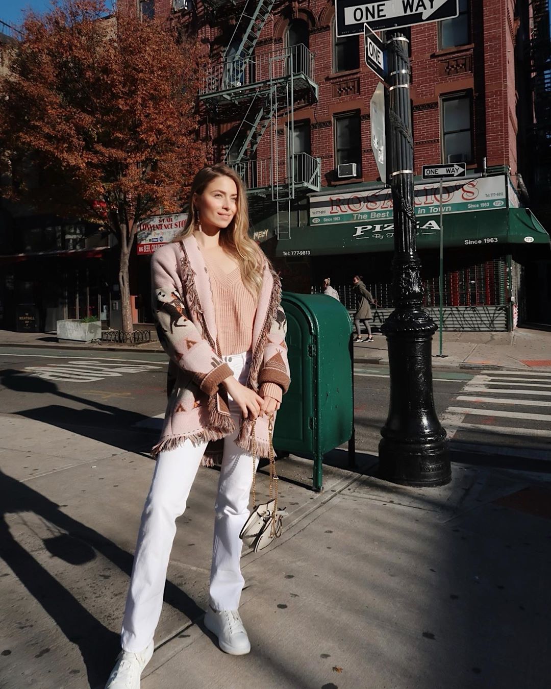 Фото для обложки: внучка Софии Ротару прошлась по Нью-Йорку в &quot;дерзком&quot; образе