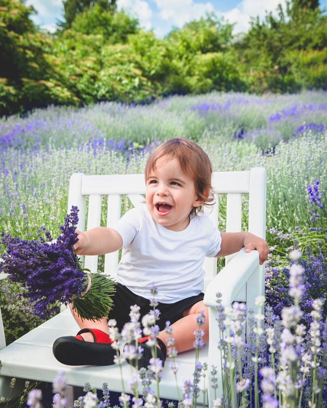 Неймовірно красиво: Джамала зворушила сімейною фотосесією в лавандовому полі