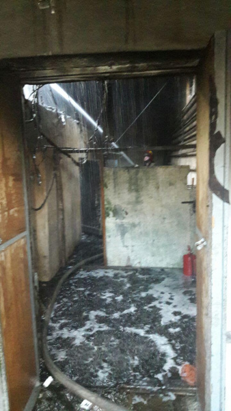 В Киевском зоопарке произошел пожар, часть животных эвакуировали