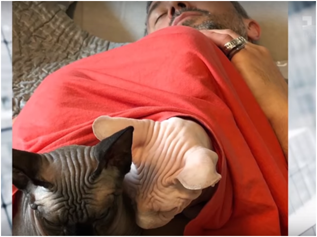 "Я просто ненавидів цих тварюк": Бабкін розповів про домашніх улюбленців і зйомках фільму (відео)