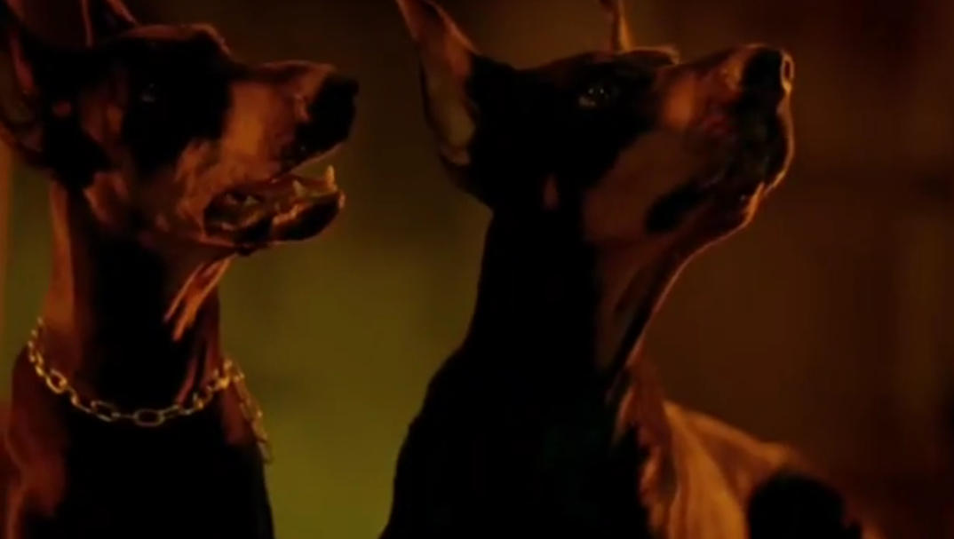 &quot;Очень быстро остывала вода&quot;: Брежнева рассказала о съемках клипа