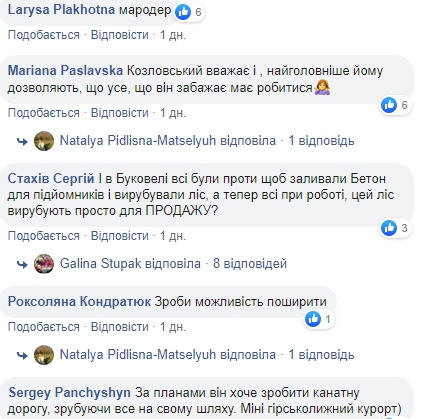 Во Львове массово вырубают лес, пока все на карантине