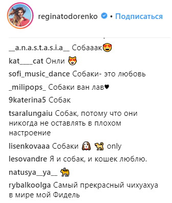 "Очень хочу": Тодоренко поделилась с поклонниками своей мечтой