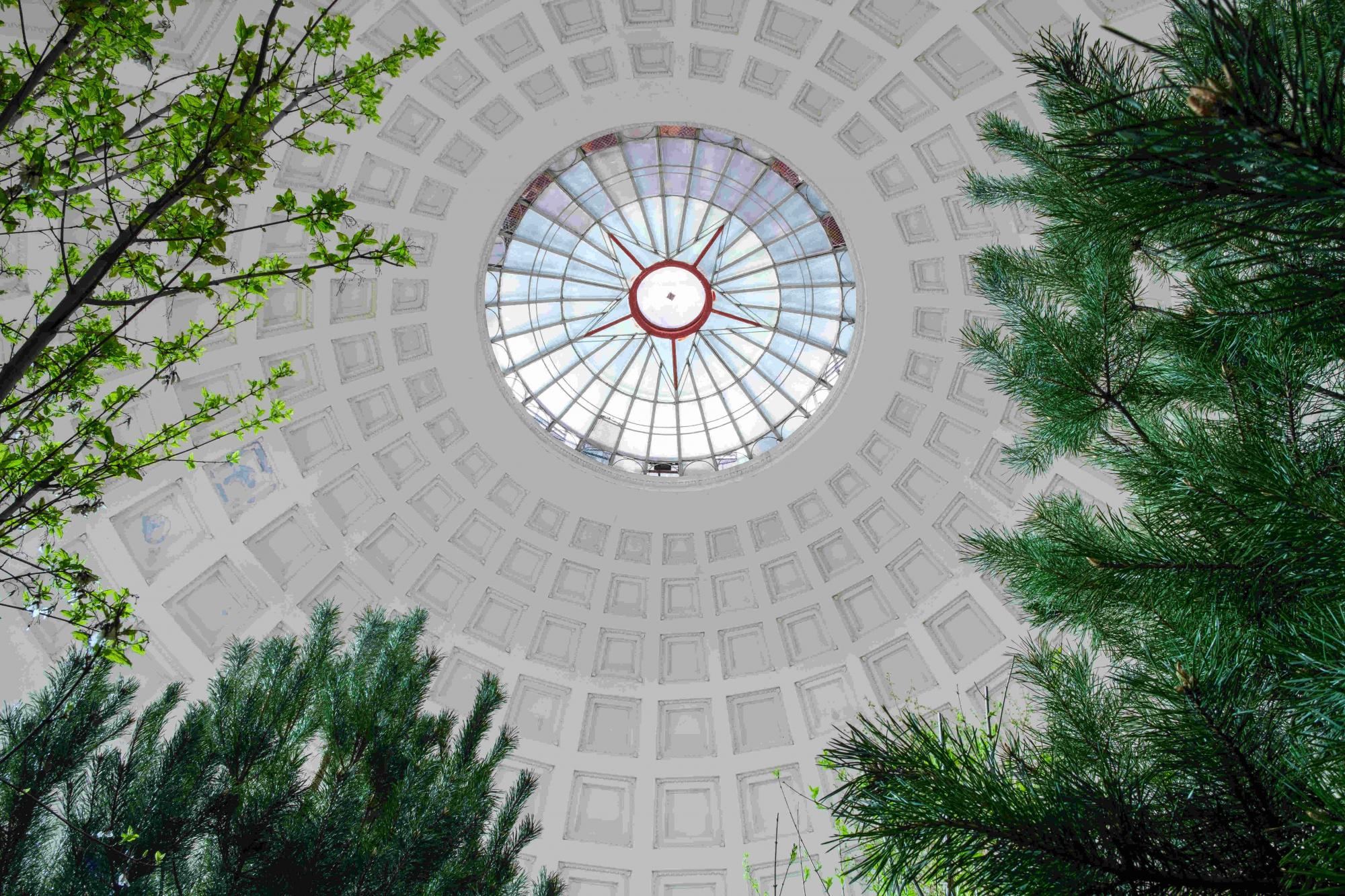 Чорнобиль. Подорож: 5 причин відвідати унікальну виставку у Києві