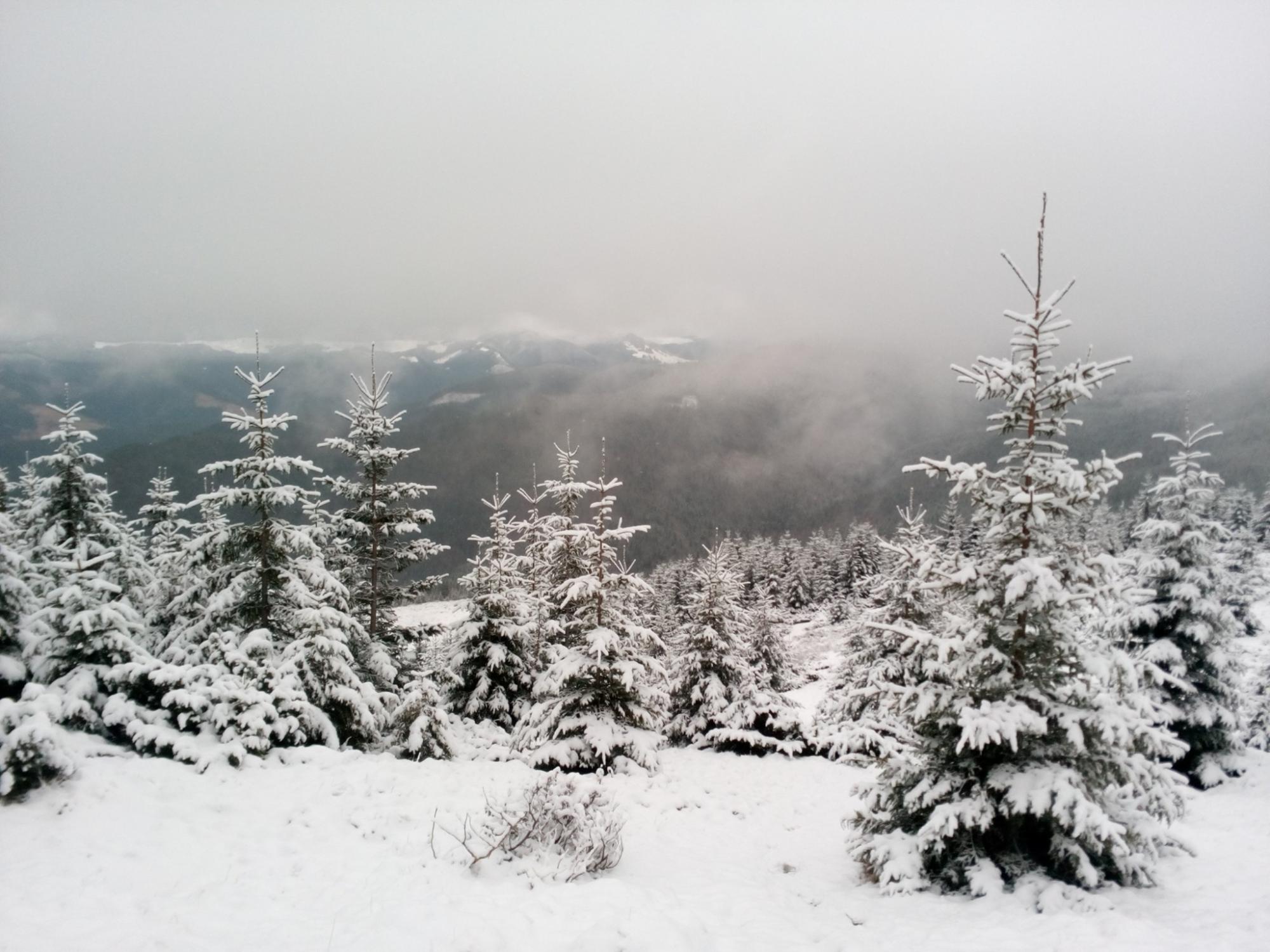 -18 и все в снегу: часть Украины засыпало толстым слоем снега (фото)