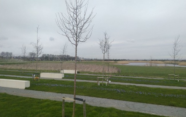 Час справедливості: як почався суд по катастрофі рейсу MH17 над Донбасом