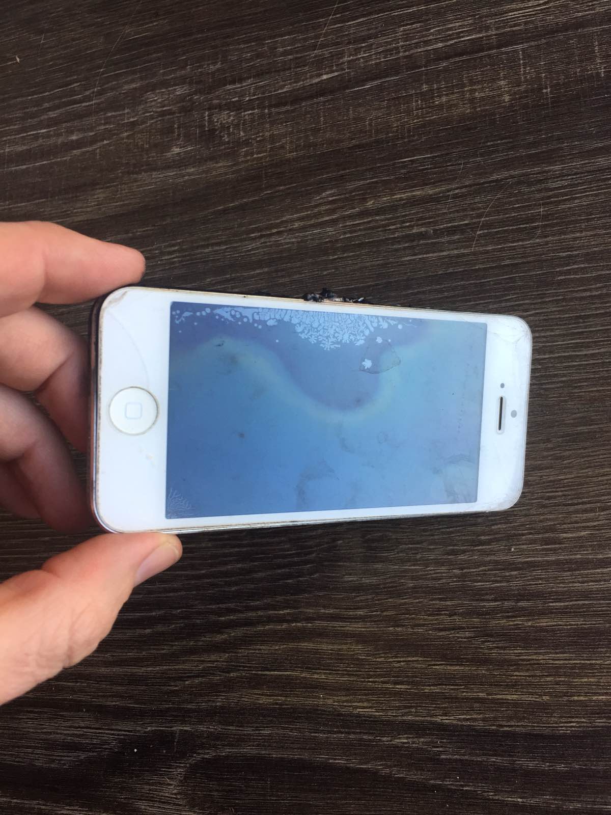 В Запорожье у ребенка в руках взорвался iPhone (видео)