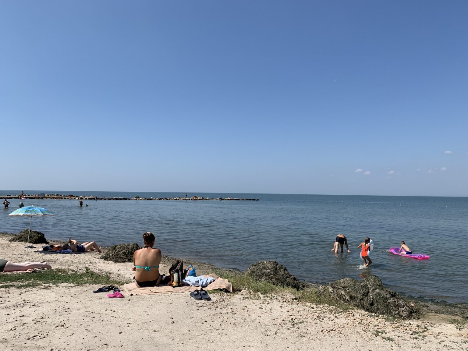 В курортном Бердянске пляжи завалило тоннами водорослей: к расчистке привлекли бульдозеры (фото)