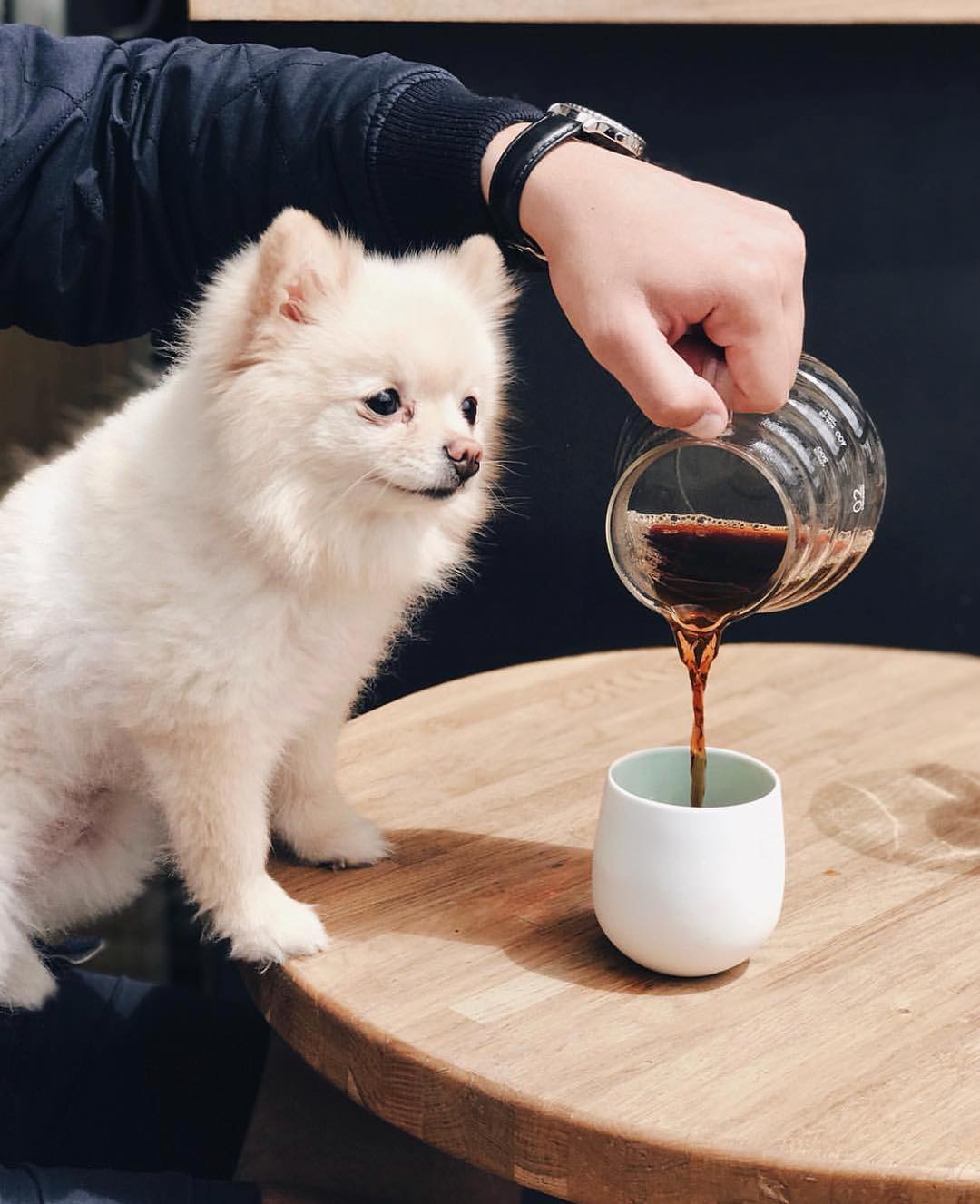 Баду Джамалы 