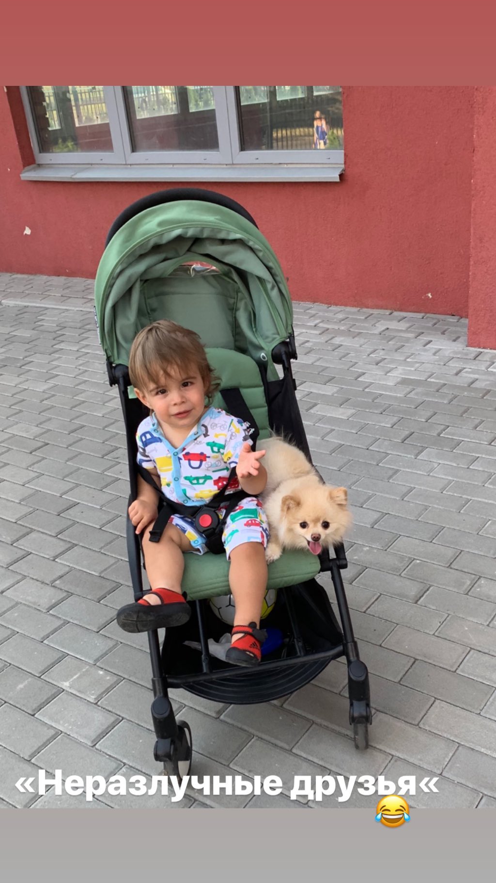 Неразлучны: Джамала показала "лучшего друга" сыночка Эмира-Рахмана во время семейной прогулки