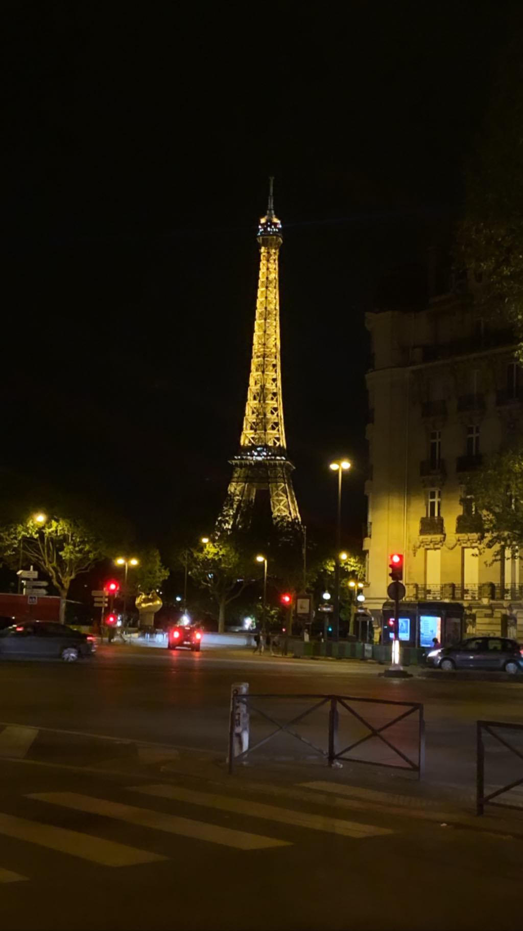 Каменських і Потап відпочивають в Парижі в одному готелі? Шанувальники знайшли "зелений доказ" (відео)