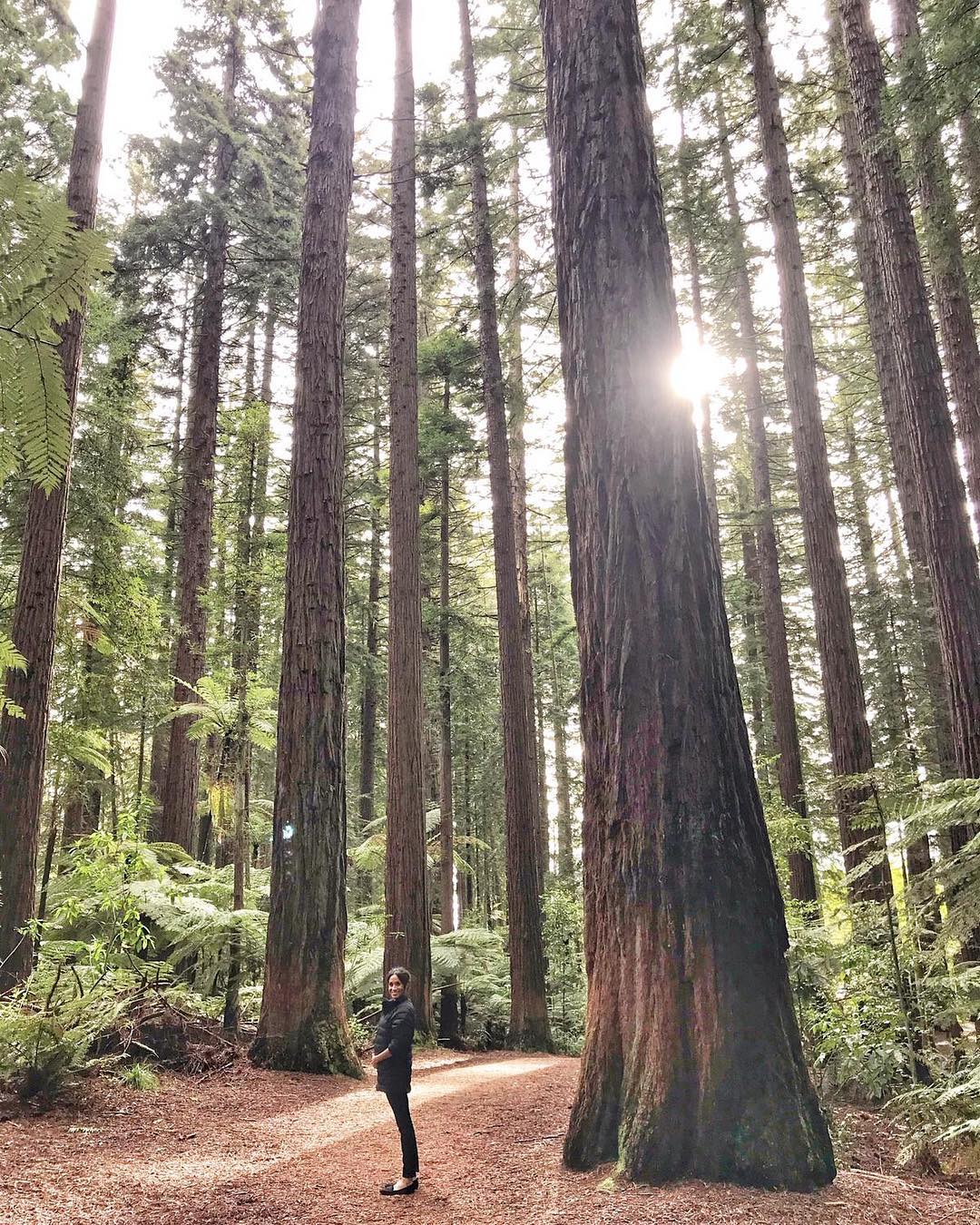 Меган Маркл в Новій Зеландії