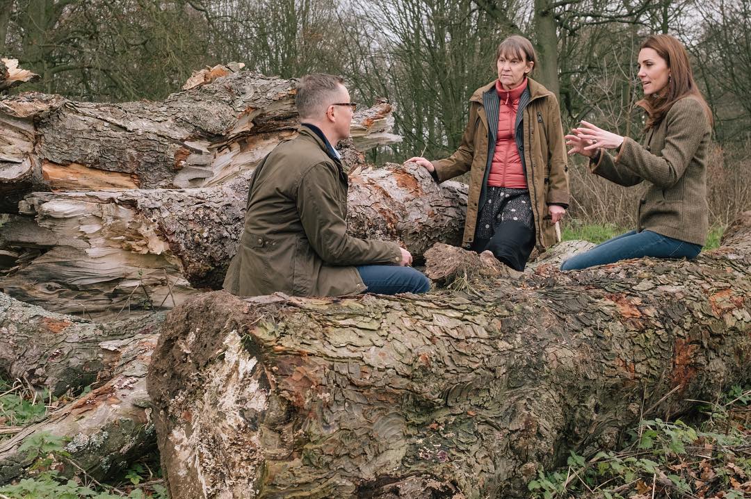 Водопады и домик на дереве: Кейт Миддлтон создает уникальный сад