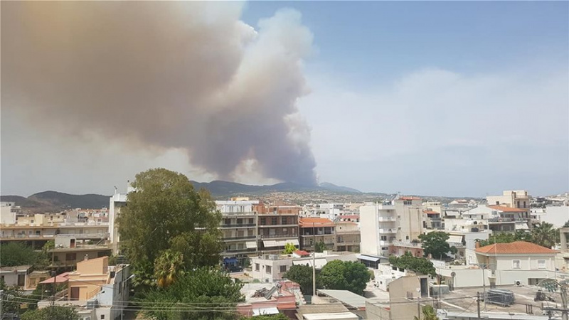 В Греции масштабный лесной пожар, люди бегут из домов