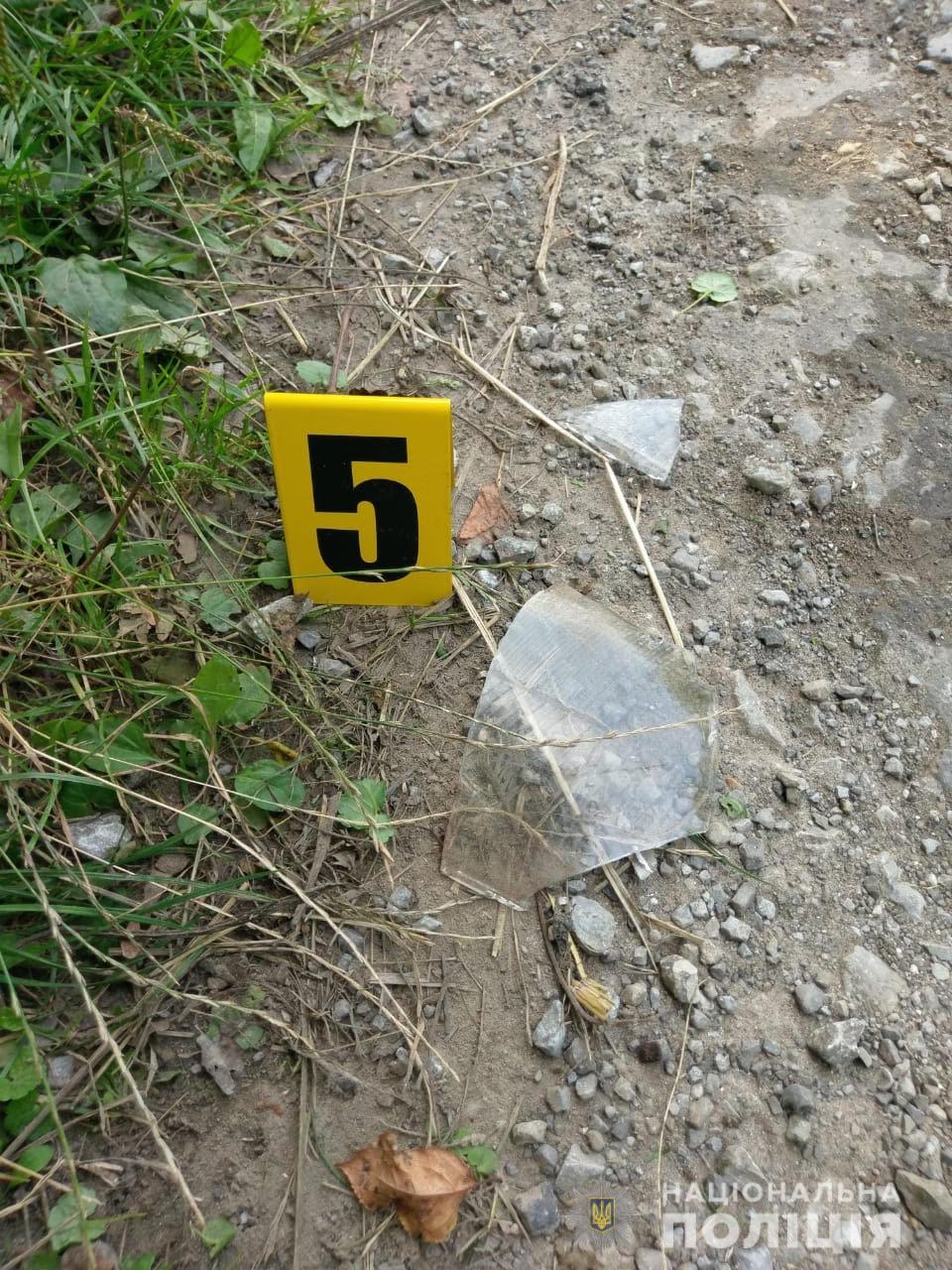 ДТП під Тернополем: автомобіль збив матір з дітьми і втік