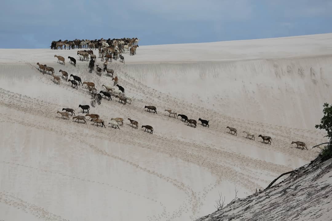 Бразильське диво природи: Дмитро Комаров показав захоплюючі дух фото