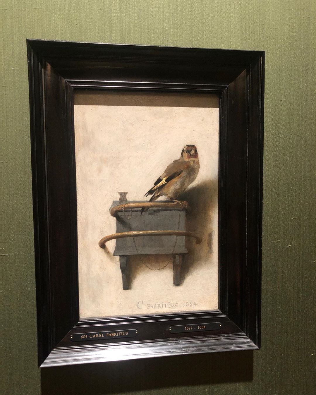 "Круте відкриття": Катя Осадча надихнула здійсненням давньої мрії