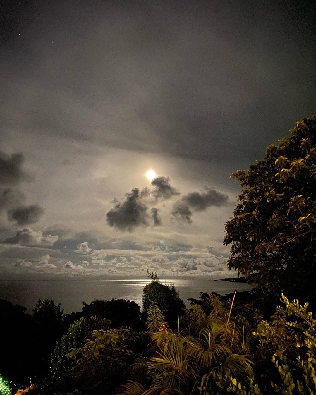 Когда фильтры не нужны: счастливые Осадчая и Горбунов покорили романтичным фото у океана