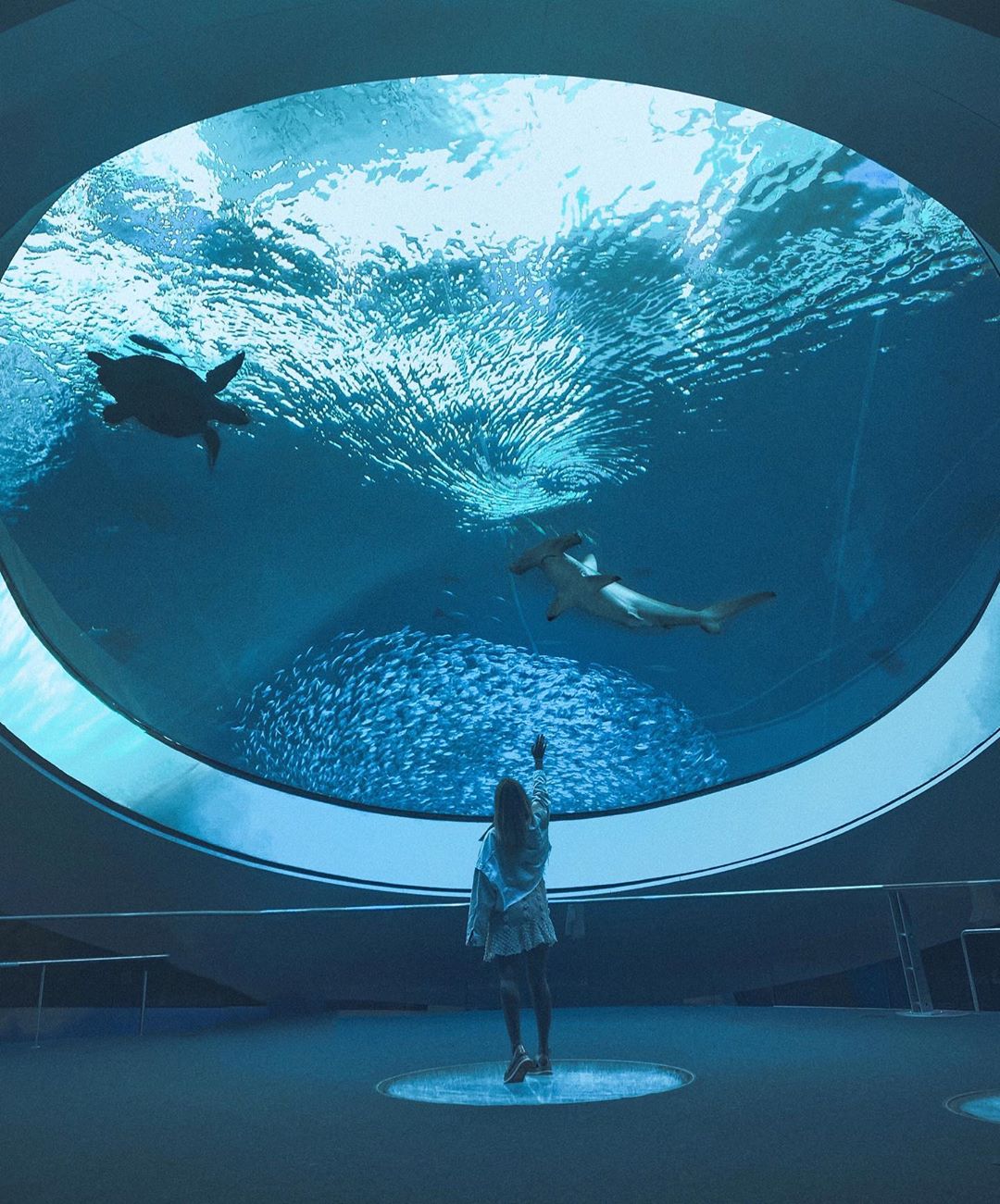 Я не паникер: невеста 9-го Холостяка рассказала о ситуации с коронавирусом в Майами