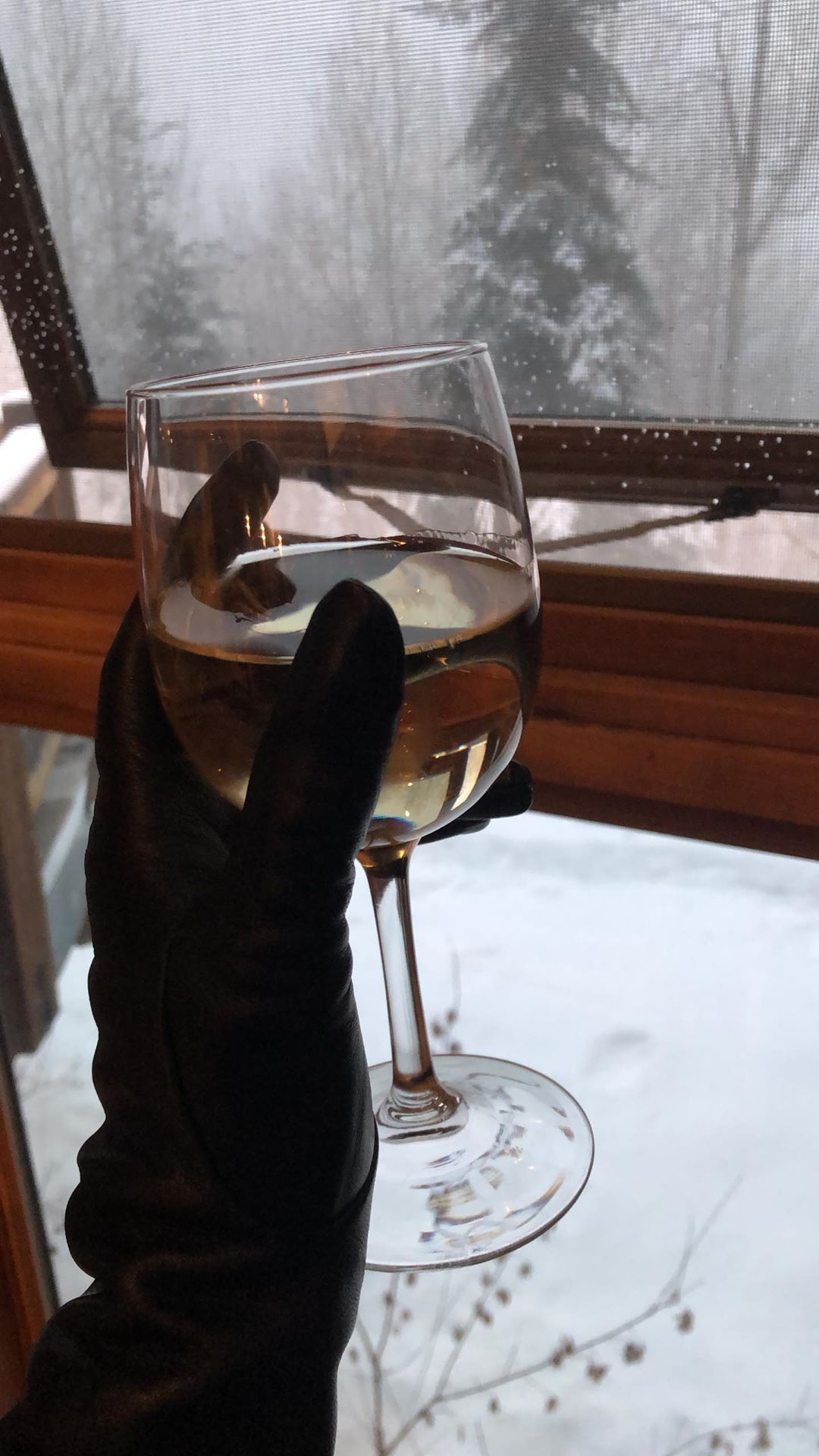 Соблазнительная Снегурочка: Кайли Дженнер засыпала сеть горячими фото в облегающем комбинезоне