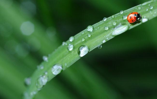 Итоги дня: 14 июня