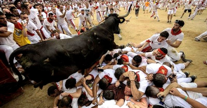 В Іспанії під час забігу биків постраждали четверо людей