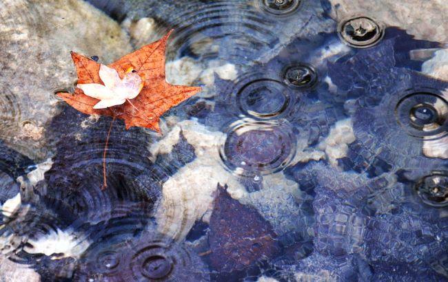 Підсумки дня: 11 вересня