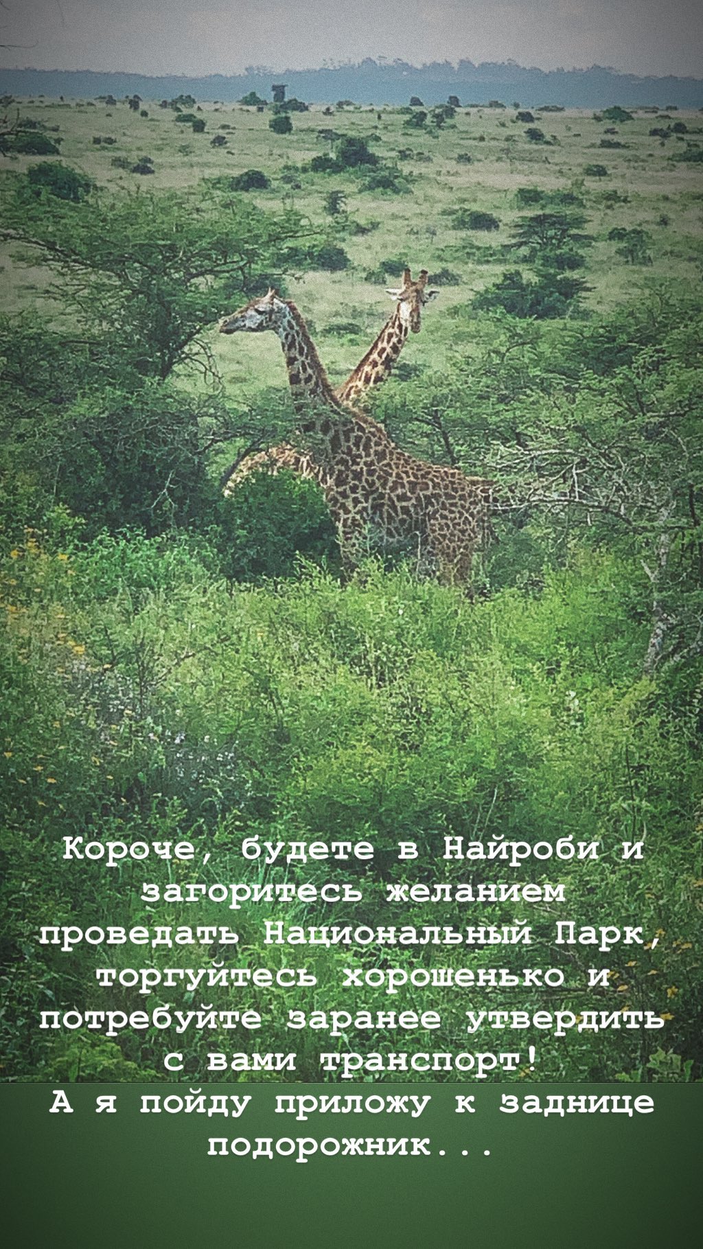Маша Єфросиніна поділилася емоціями від поїздки в сафарі-парк в Кенії