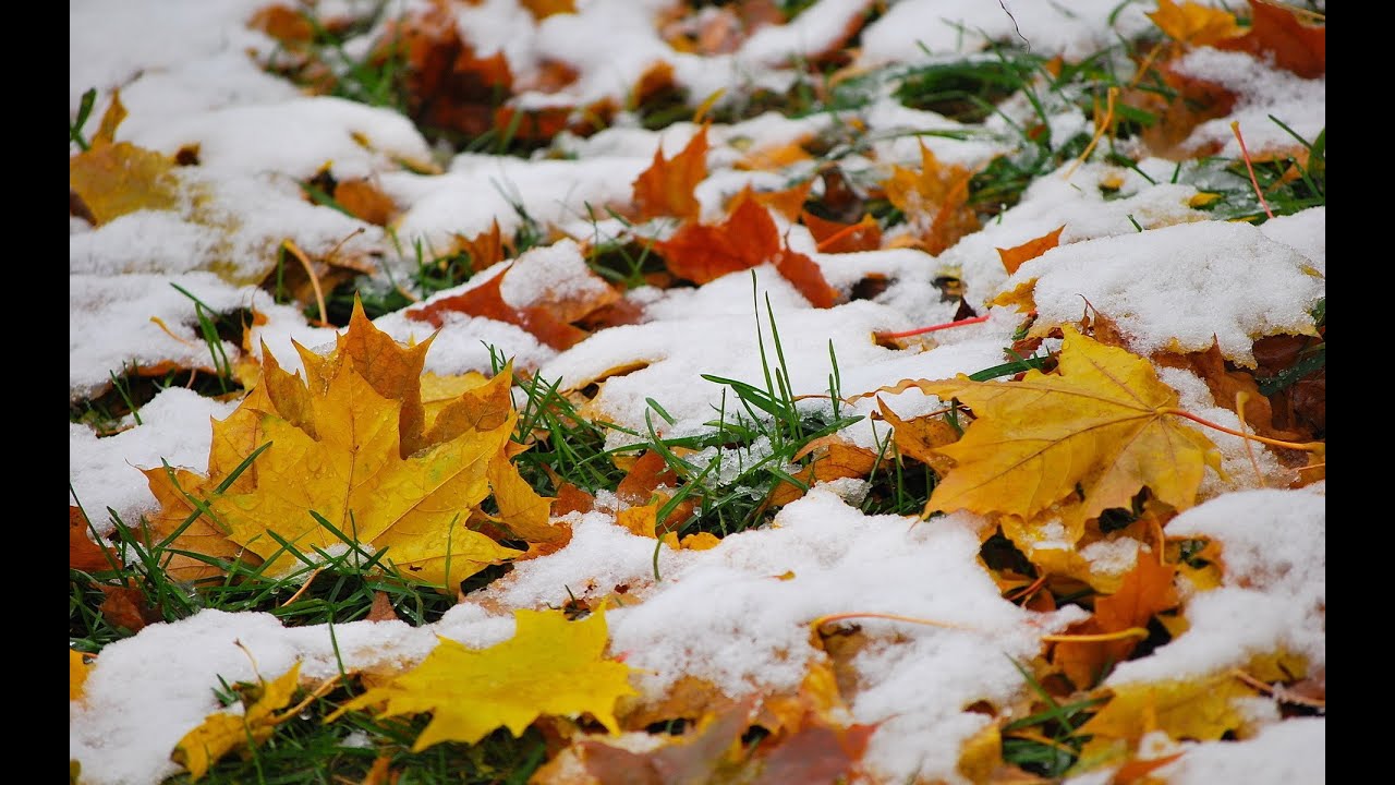 Украину осенью накроет снегом: перепад температуры будет резким и существенным