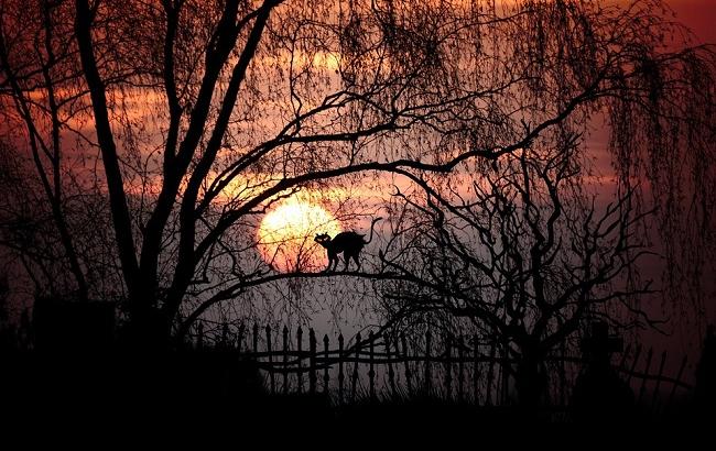 Пятница 13-е: що не можна робити сьогодні, щоб не накликати біду