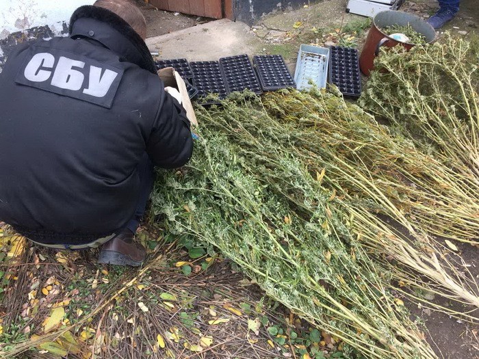 В Николаевской области разоблачили группу, которая сбывала наркотики