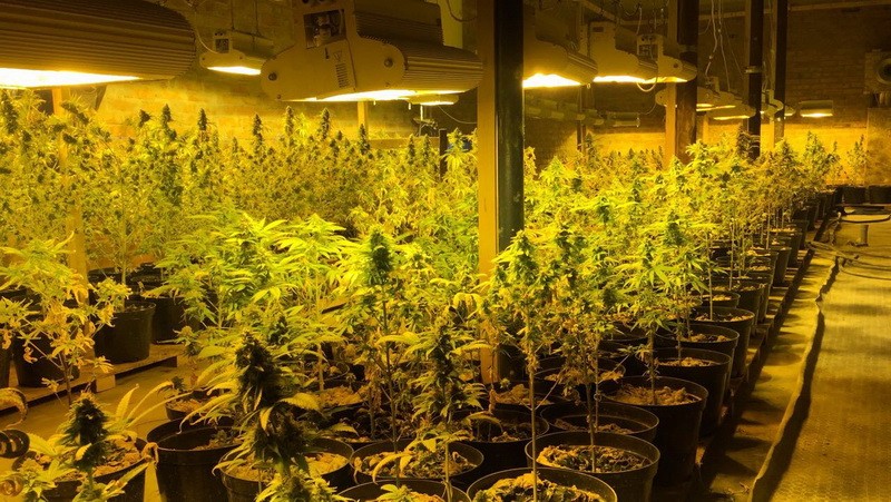 У Полтавській області викрили міжнародну нарколабораторію