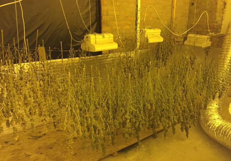 У Полтавській області викрили міжнародну нарколабораторію