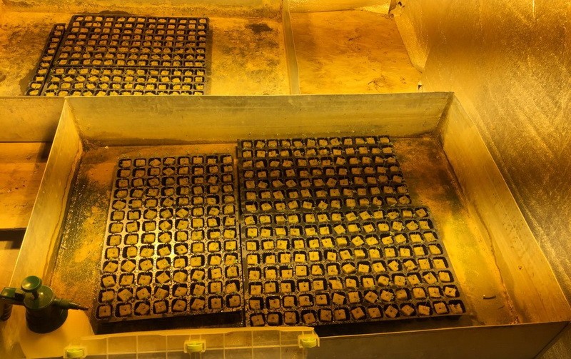 У Полтавській області викрили міжнародну нарколабораторію