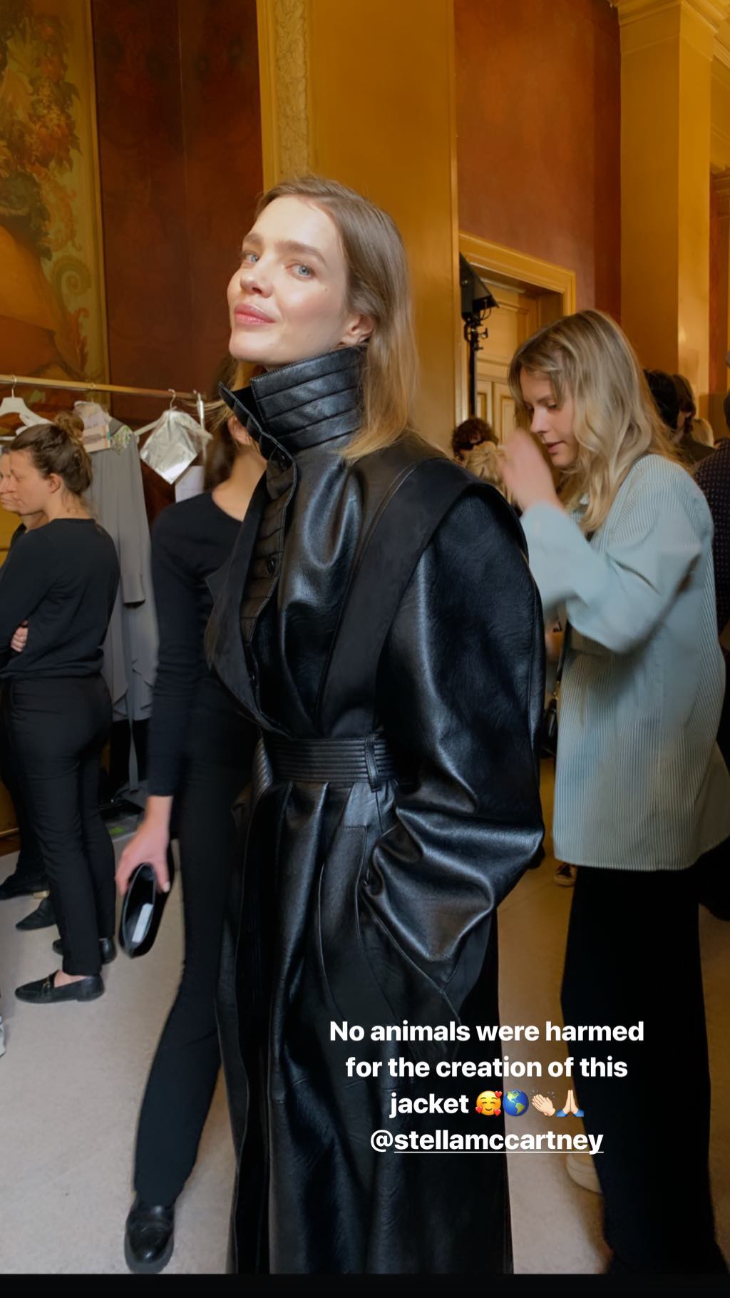 Наталья Водянова