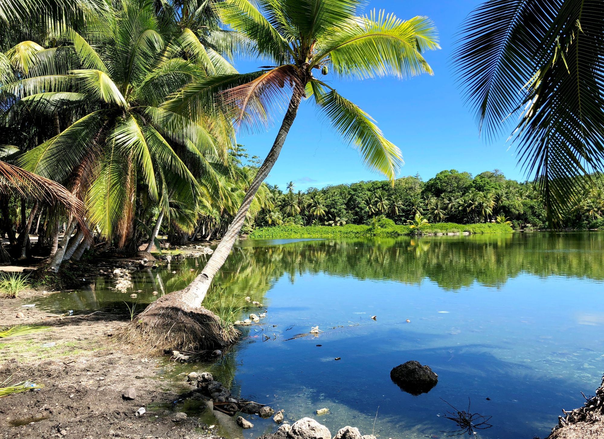 Українець, який відвідав усі країни світу: Одного разу потрапив під ракетний обстріл в Іраку