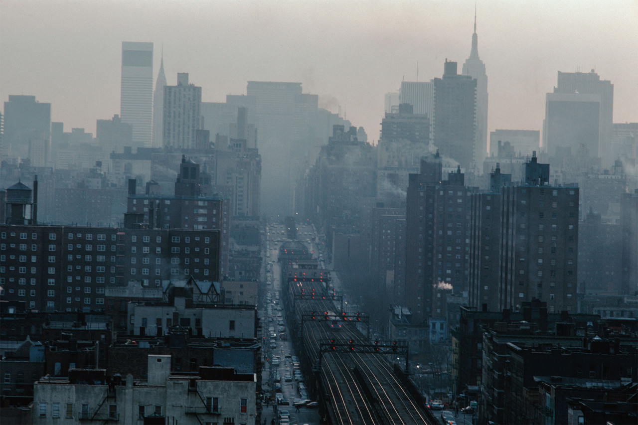 Нью-Йорк затягнуло димом через лісові пожежі на заході США