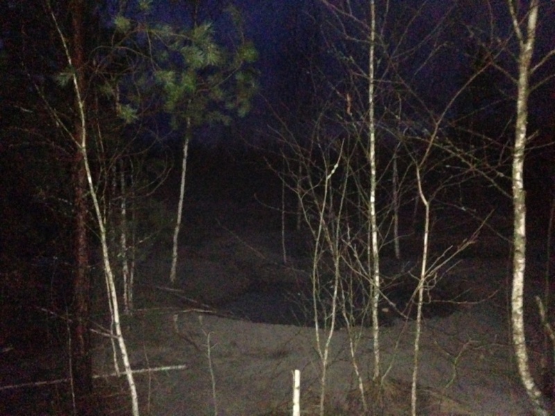 У Житомирській області прикордонники затримали 9 копачів бурштину