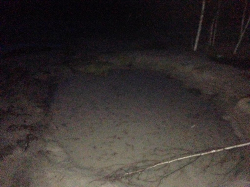 У Житомирській області прикордонники затримали 9 копачів бурштину