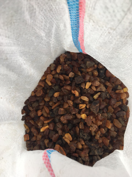 Пограничники пресекли контрабанду янтаря на границе с Польшей