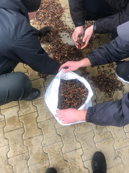 Пограничники пресекли контрабанду янтаря на границе с Польшей