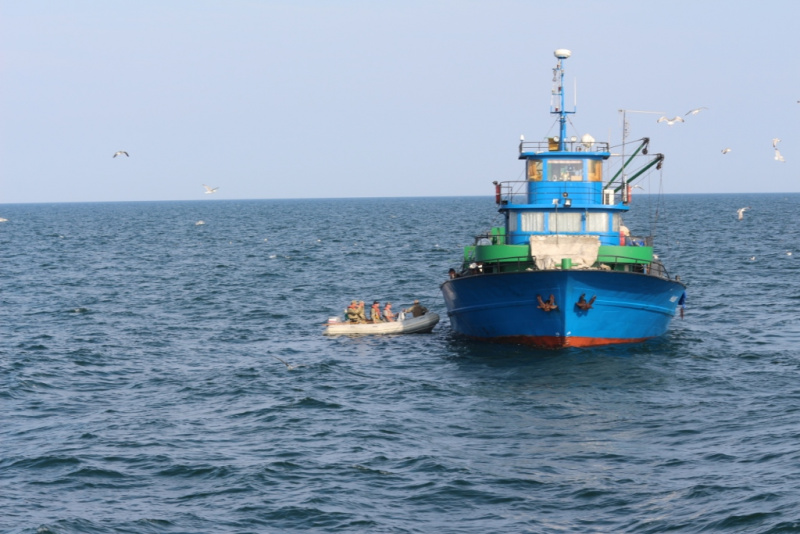 Біля морського кордону України за тиждень зафіксували 43 іноземні судна